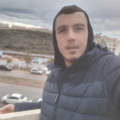 אבי לוי