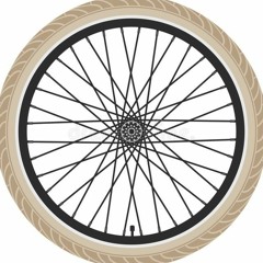 ТОТ САМЫЙ PLVG