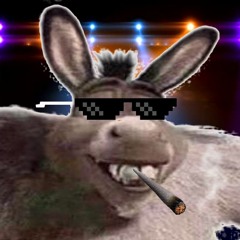 Dank Donks