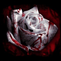 Rose's in your mind