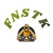 Finistek