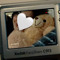 Maram