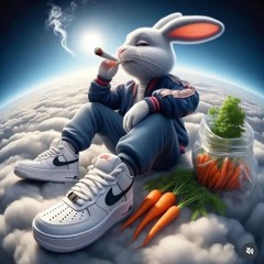 HondaX420