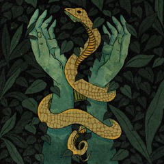 Bleeding out the Rage