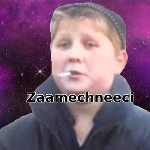Zaamechneeci’s avatar