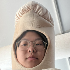 steenthegemini