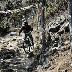 Sonam Tenzin