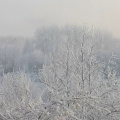 The Endeavorist Project