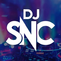 Snow (DJ SNC Remix) - Red Hot Chilli Peppers