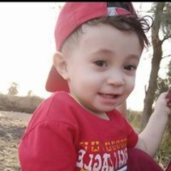 Ahmed Hamed