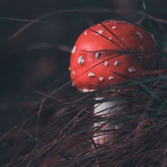 azzazelo