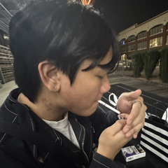 thesnakethief