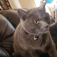 Gabby