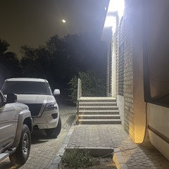 Y3