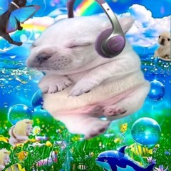 Dj ars