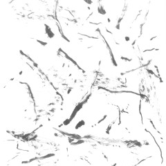 Klas Trollius