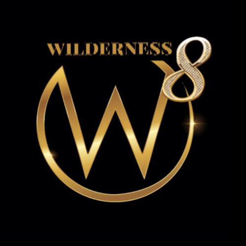 Wilderness Infinity’s avatar