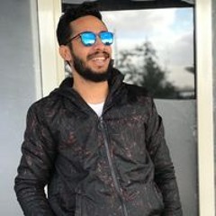 Boula Adel Fawzy