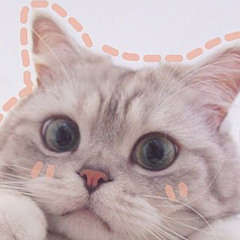HanTee