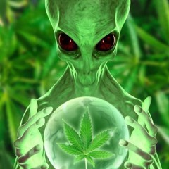 👽👽