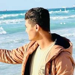 Amir Hasbo