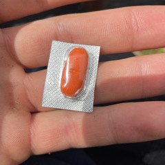 rafdmt