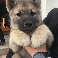 BerthaPalomares WhatsApp +63(9641207019)