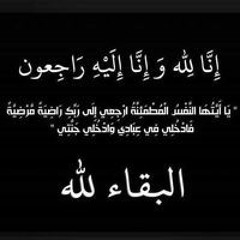 Youssef Mohamed Amin Jo