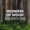 Wonders of Wood and Beyond