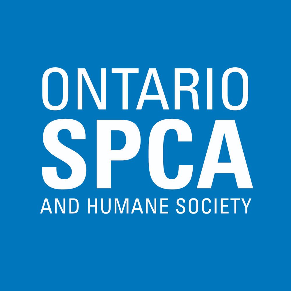 Ontario SPCA - Talking all things animal-related!