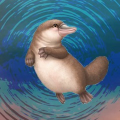 FlatFoot Platypus