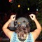 DJ Katnip