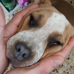 TIM