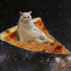 spacecattoz