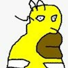 SR.MAPACHE
