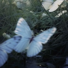 🌹°*̩̩̥͙𝐃𝐉*̩̩̥͙°🌹