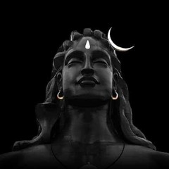 Apurv Raj