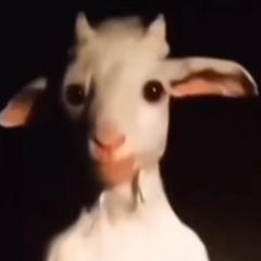 SOMETHING REINCARNATED