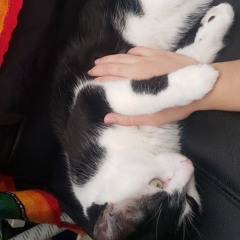 buski