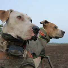 hunting_the country