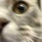 superextramegameow