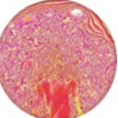 Empty - (Ft.IssYuBoixzay)(Demo)