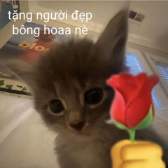 Nguyễn Bùi Quốc Việt