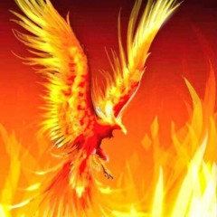 Rising Phoenix
