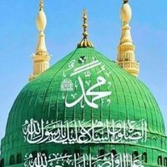 محمود الجمال