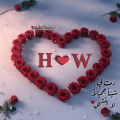 Heba Kotb