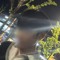 형이야