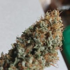 Jon Paul Endruschat Sr.