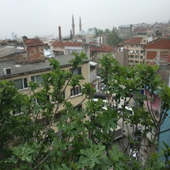 035 fatir suresi meali