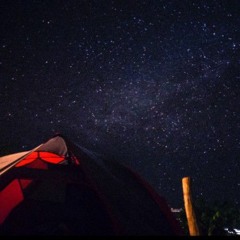 Universe Tribe